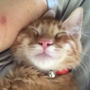 Meet your Posher, Jasmin